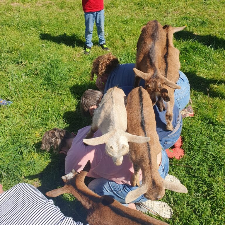 Ausflug auf den Ziegen- und Eselhof
